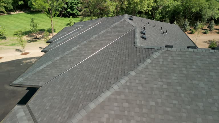 Best Green or Eco-Friendly Roofing Solutions  in Allen Park, MI