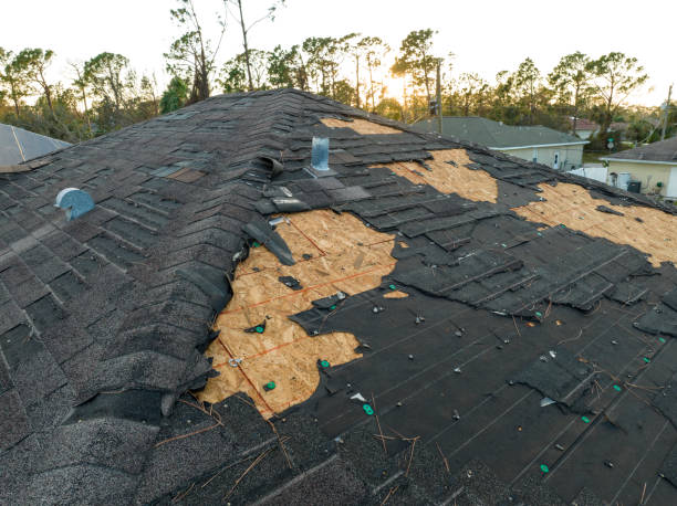 Best Asphalt Shingles Roofing  in Allen Park, MI